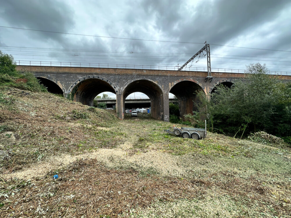 Site clearance success for Network Rail