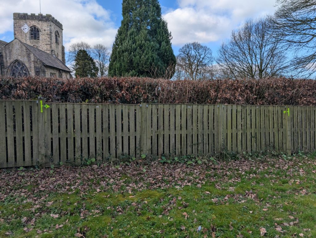 KNOTWEED MARCH 2025